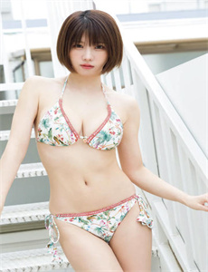狐狸的夏天第1季