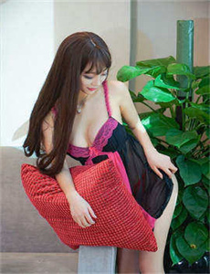 爱丽丝与藏六